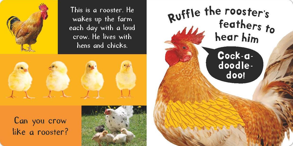 Noisy Farm: Includes Six Sounds!