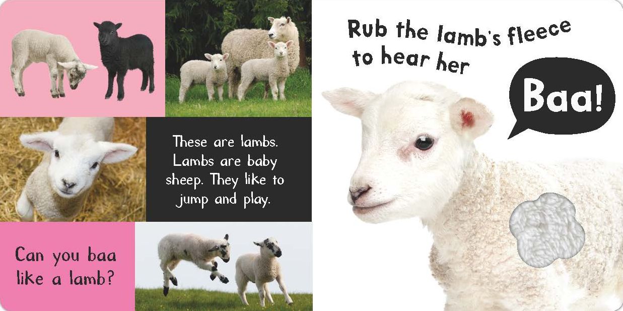Noisy Farm: Includes Six Sounds!