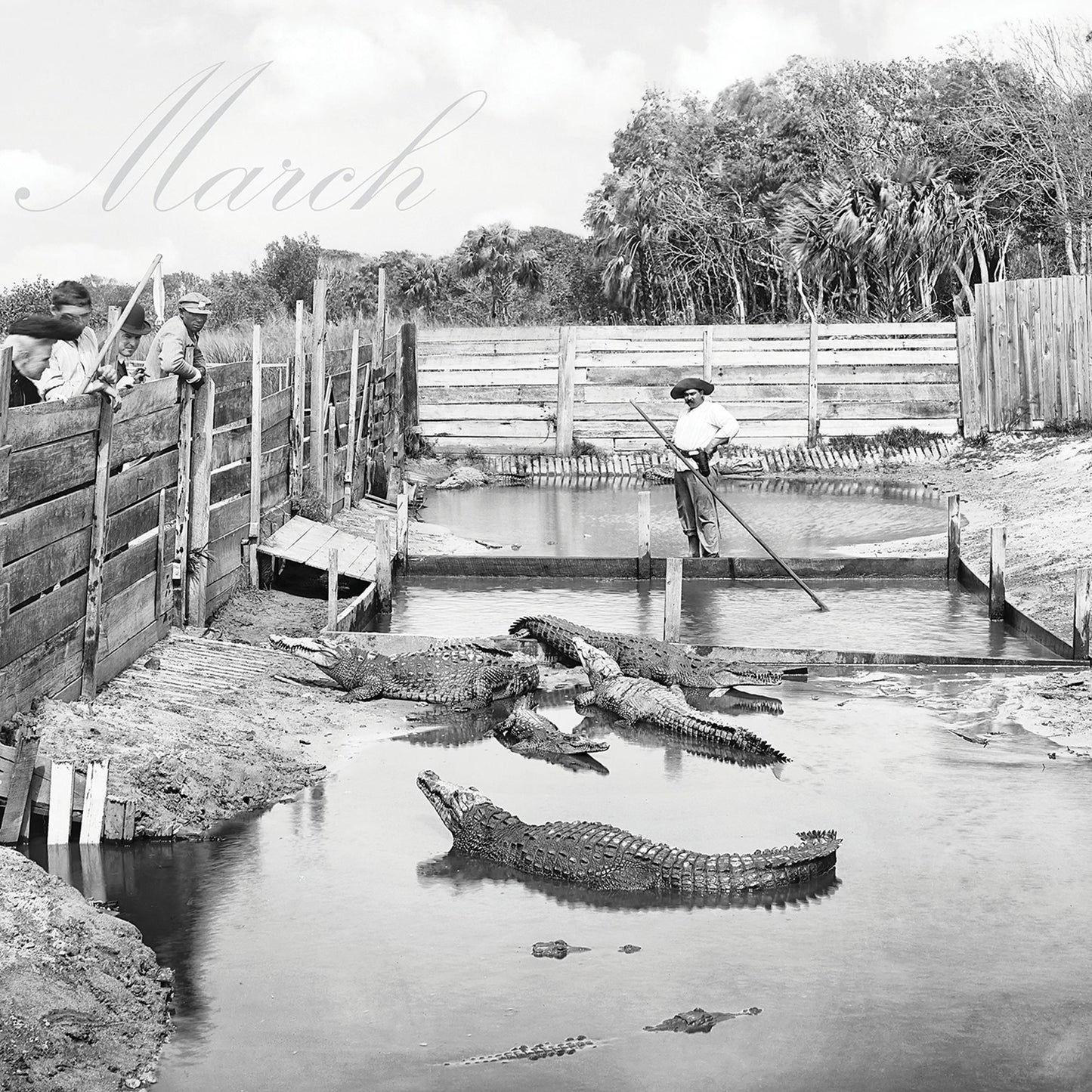 2016 Historic Florida Shores Wall Calendar