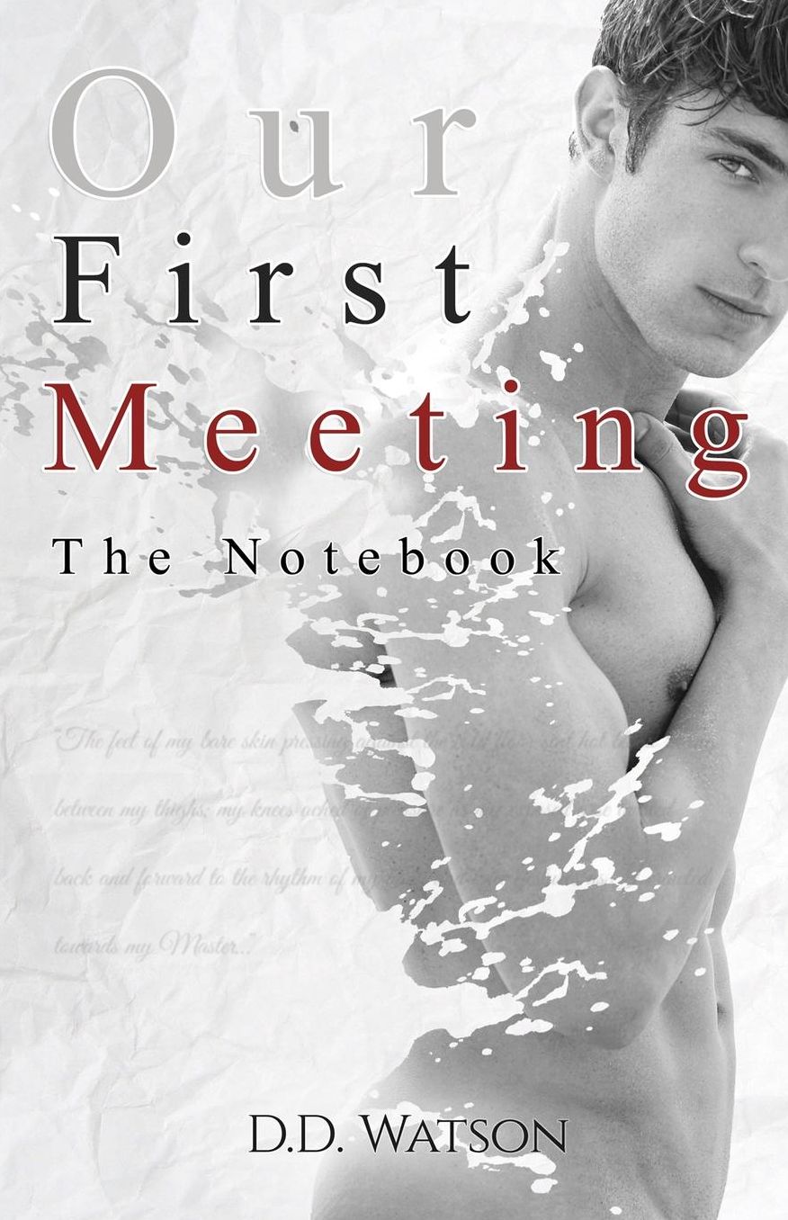 Our First Meeting: The Notebook