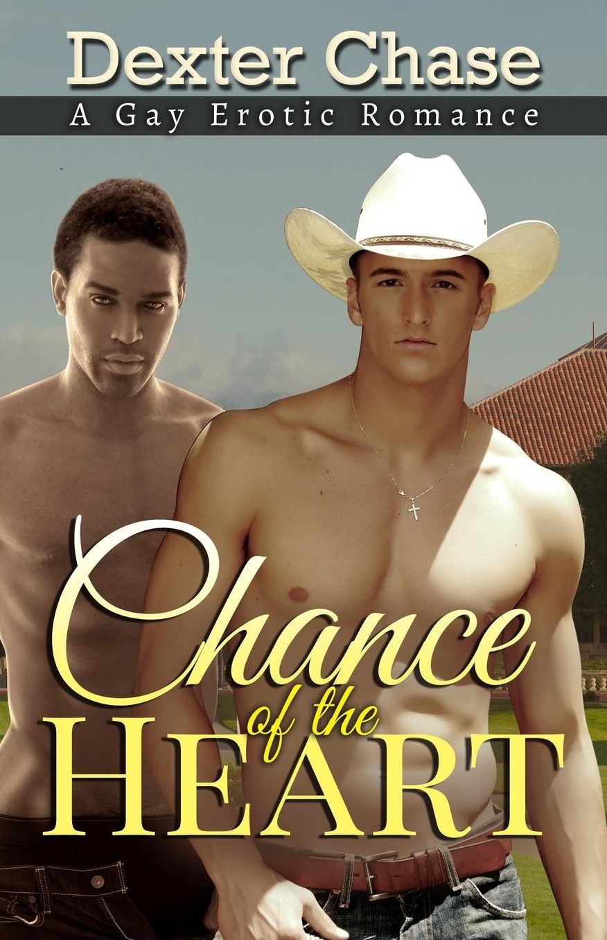 Chance of the Heart: A Gay Erotic Romance