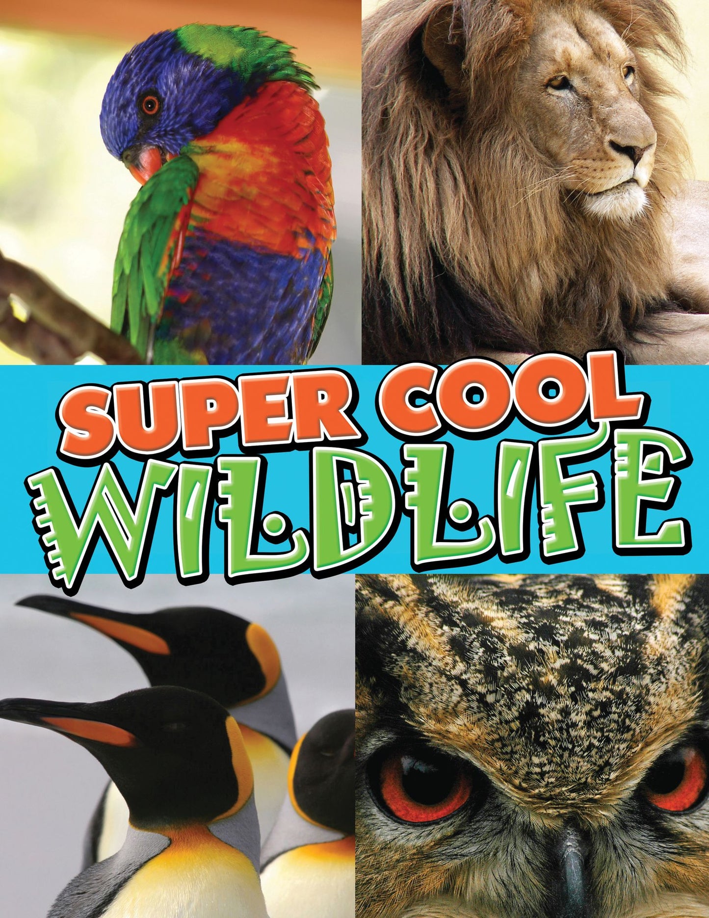 Super Cool Wildlife: From Lions to Penguins in the Wild
