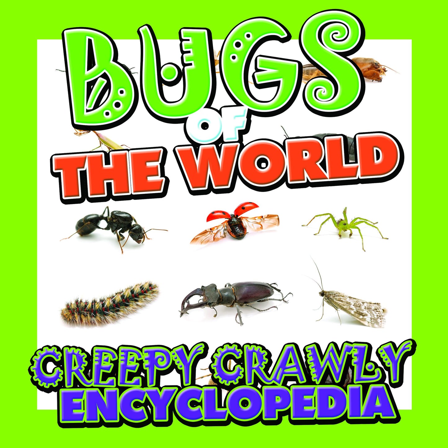Bugs of the World (Creepy Crawly Encyclopedia): Bugs, Insects, Spiders and More