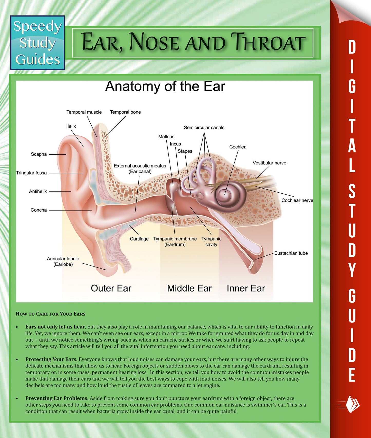 Ear, Nose and Throat: Speedy Study Guides