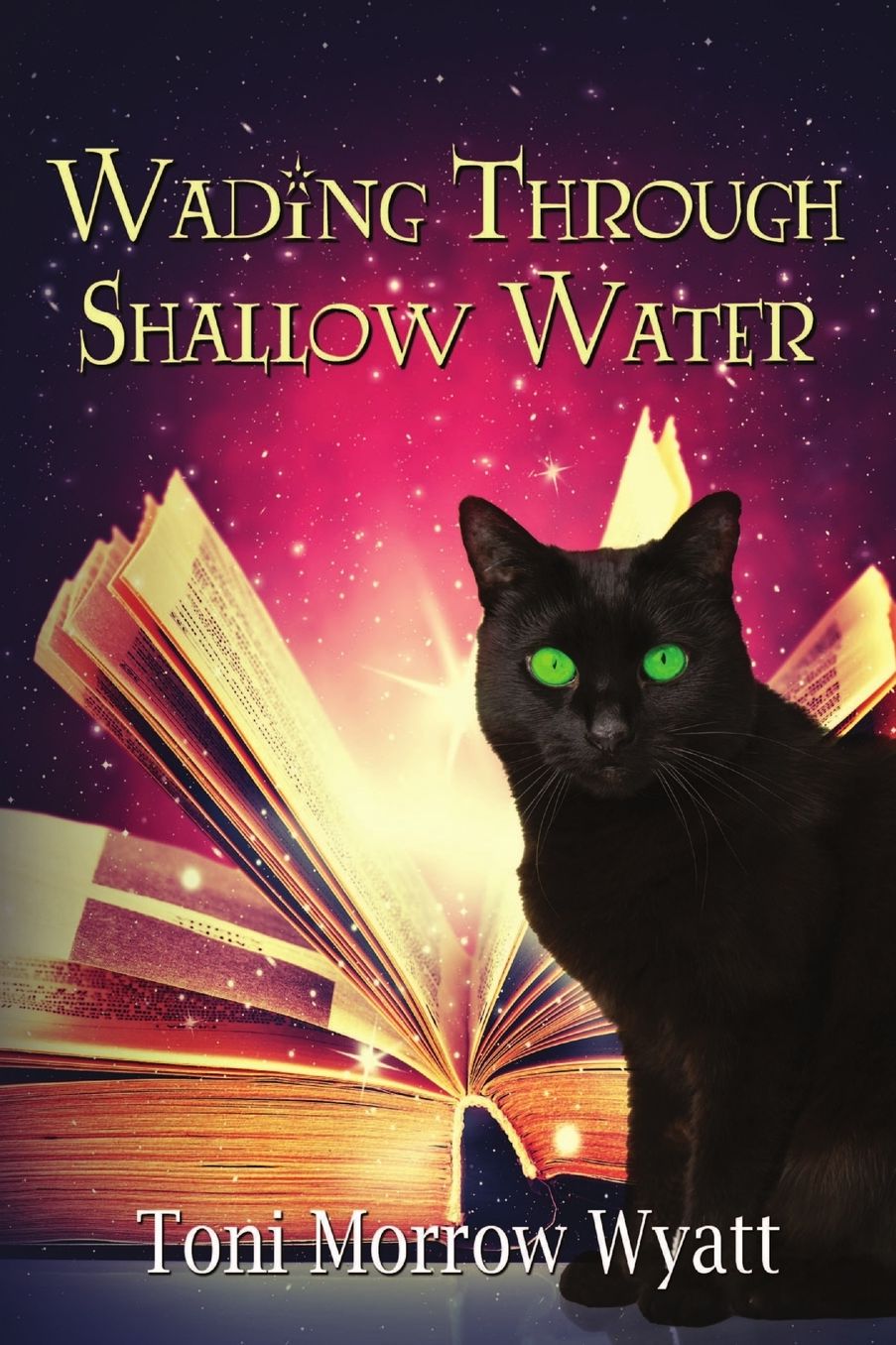 Wading Through Shallow Water