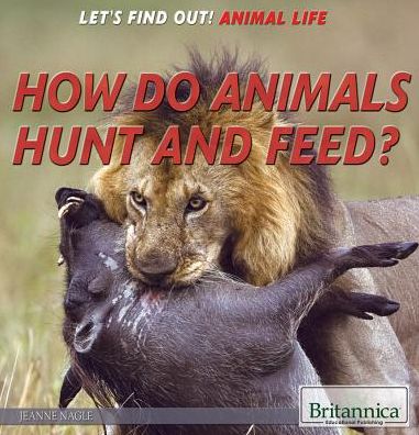 How Do Animals Hunt and Feed?