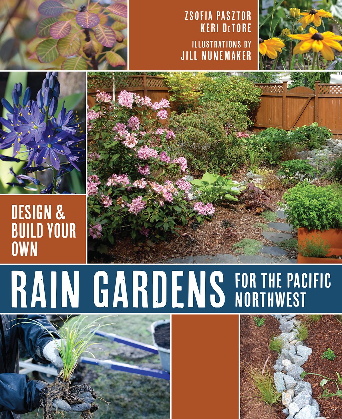 Rain Gardens for the Pacific Northwest