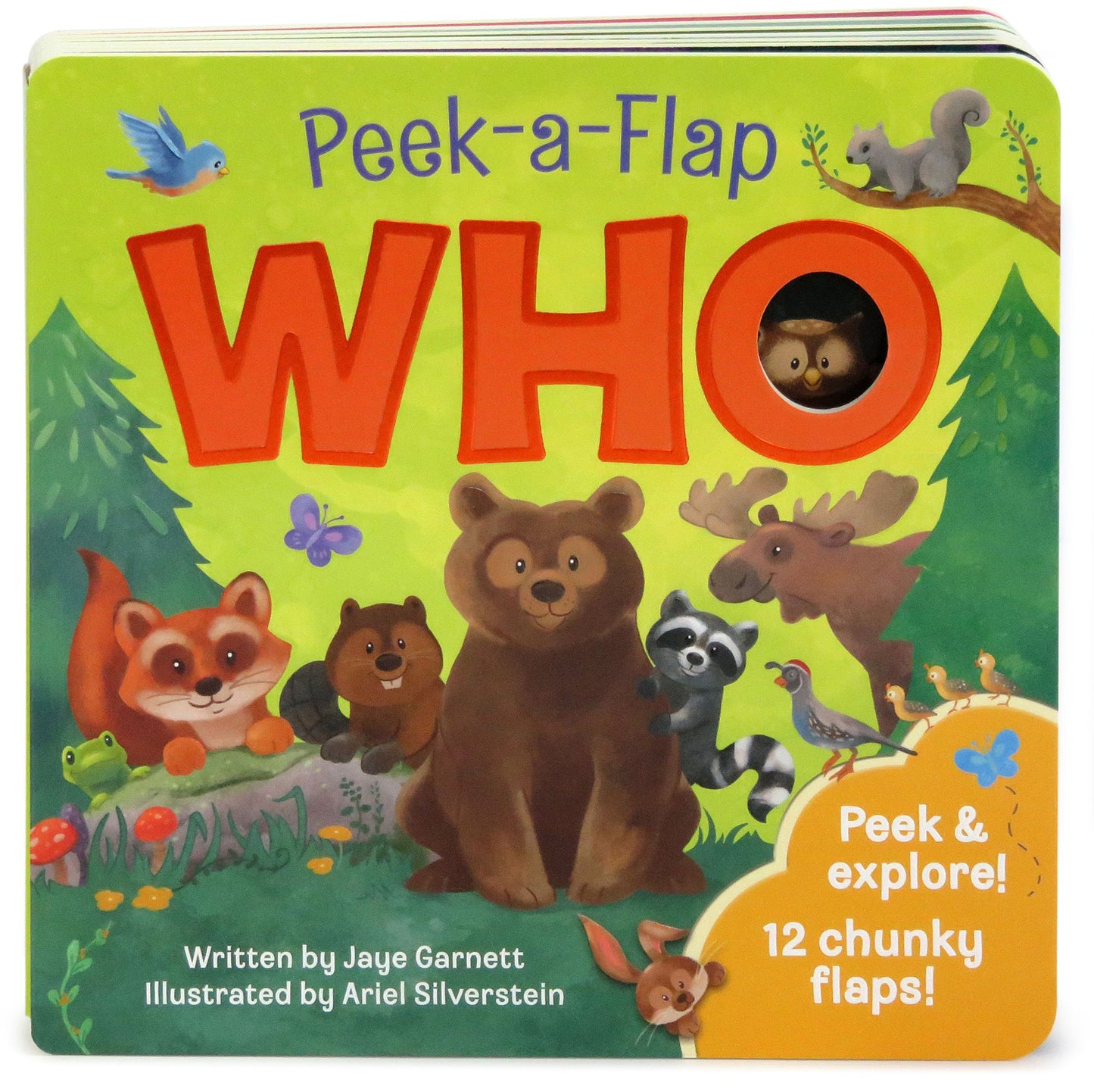 Who: Chunky Peek a Flap Board Book