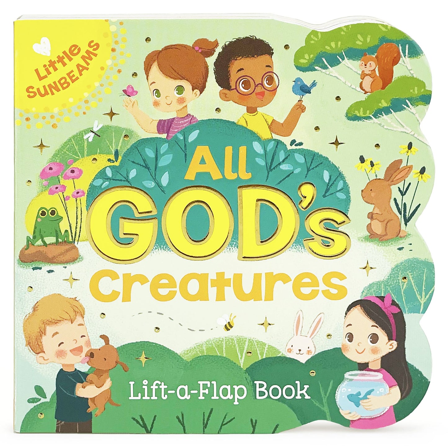 All God's Creatures: Chunky Lift a Flap Board Book