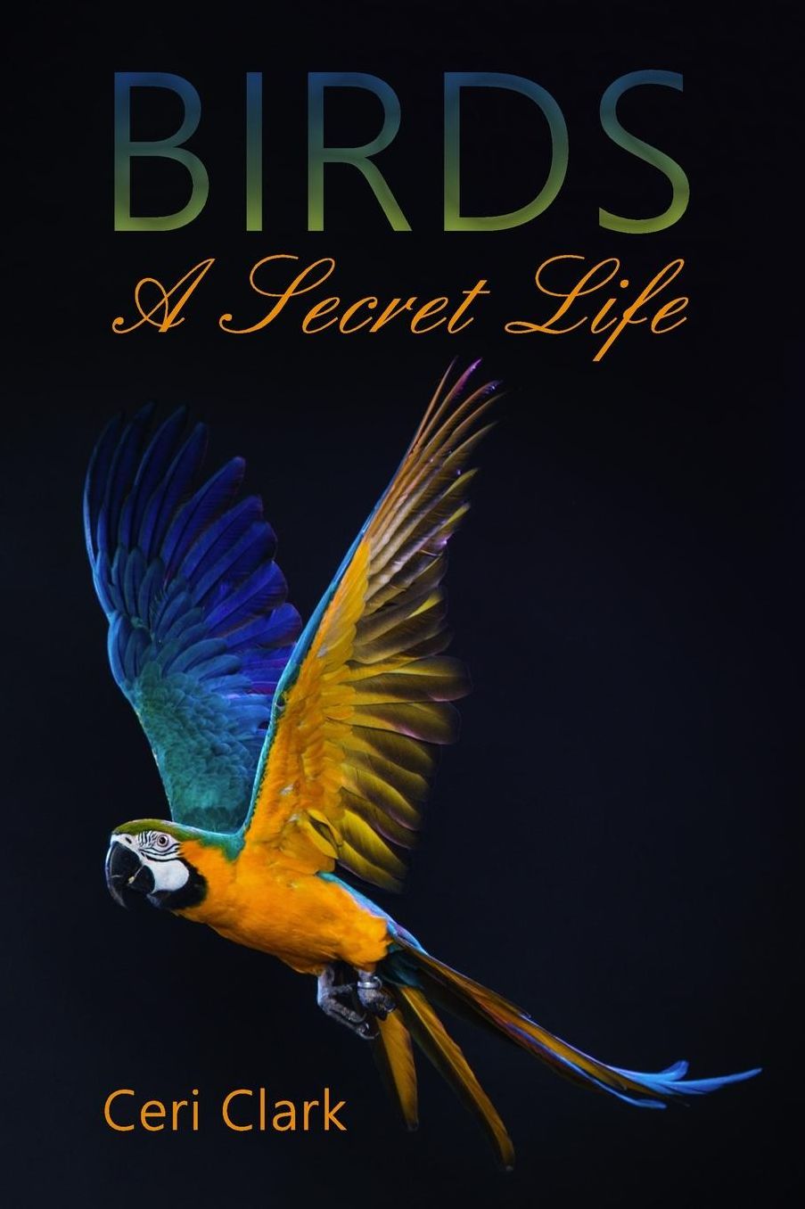 Birds A Secret Life: A disguised password book and personal internet address log for bird lovers