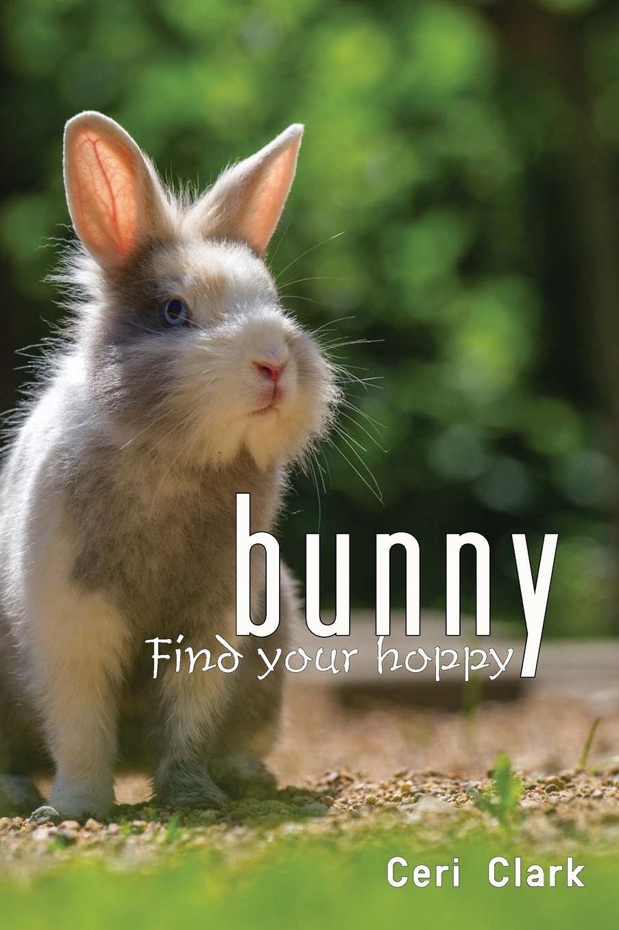 Bunny Find Your Hoppy: A disguised password book and personal internet address log for rabbit lovers