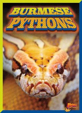 Burmese Pythons