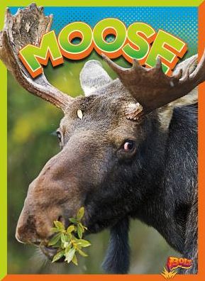 Moose