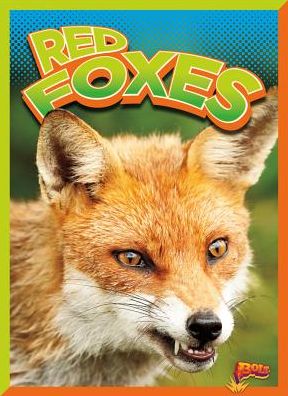 Red Foxes