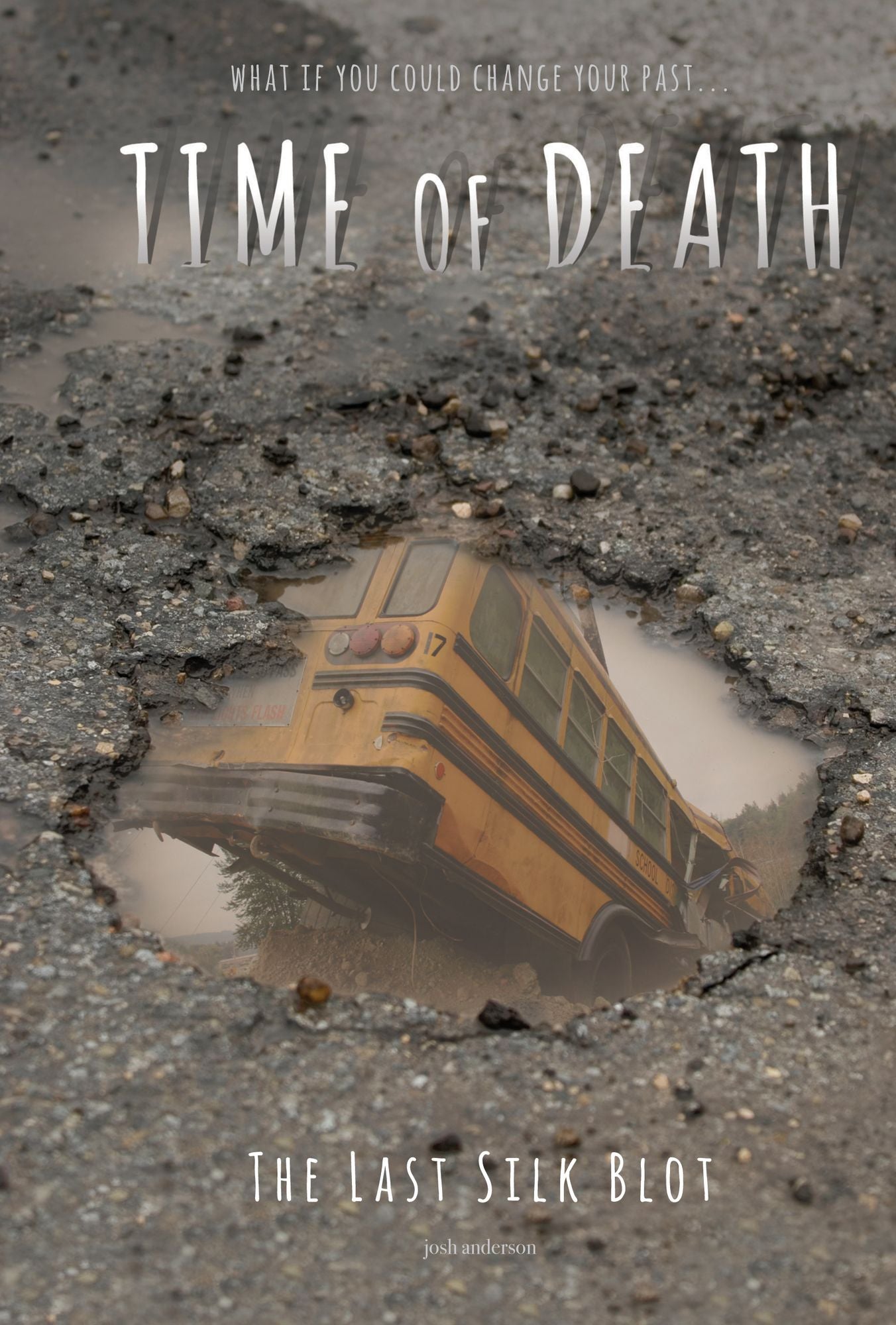 Last Silk Blot (Time of Death Series #6) (PagePerfect NOOK Book)