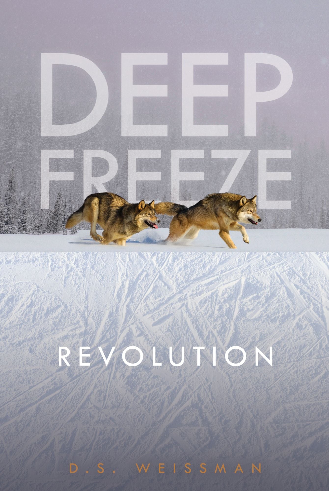 Revolution #4 (PagePerfect NOOK Book)