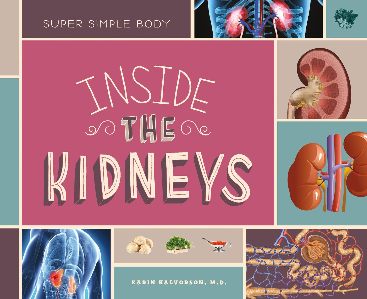 Inside the Kidneys (PagePerfect NOOK Book)
