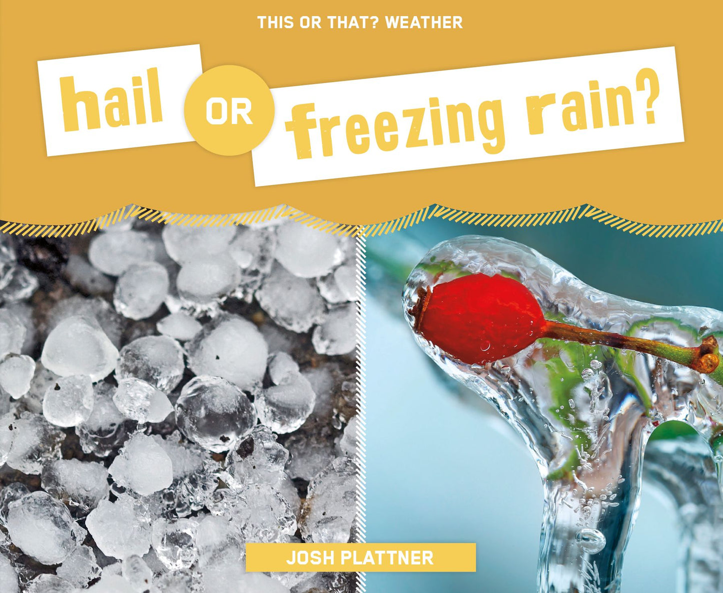 Hail or Freezing Rain? (PagePerfect NOOK Book)