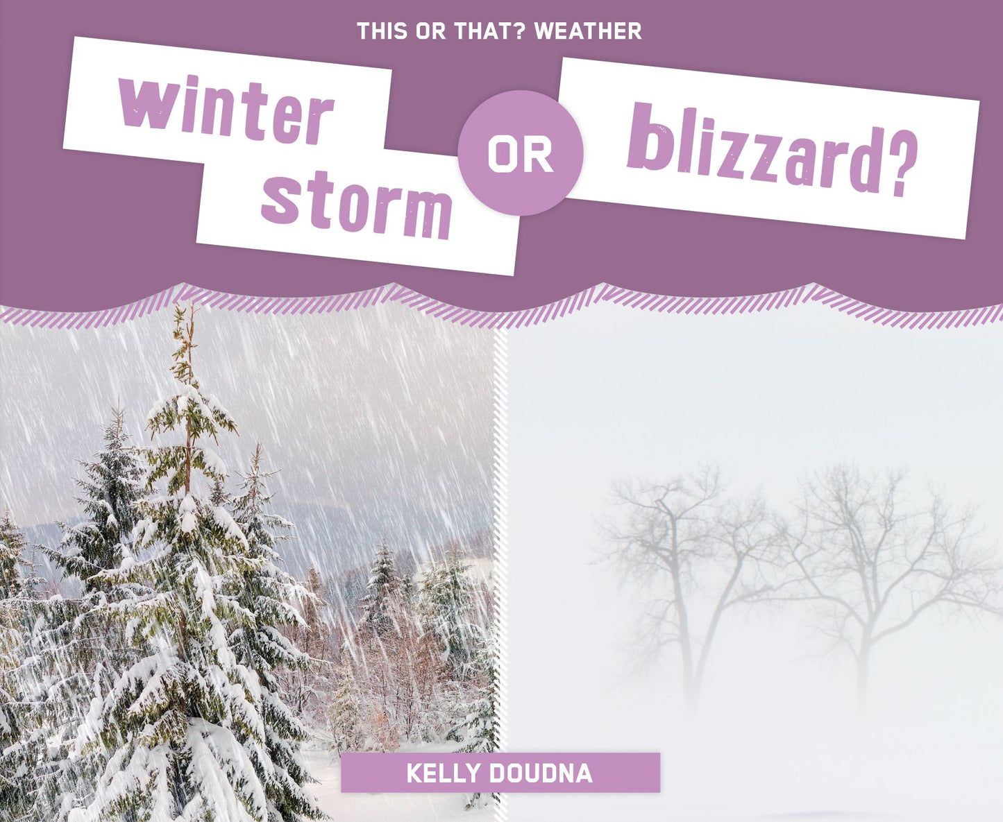 Winter Storm or Blizzard? (PagePerfect NOOK Book)
