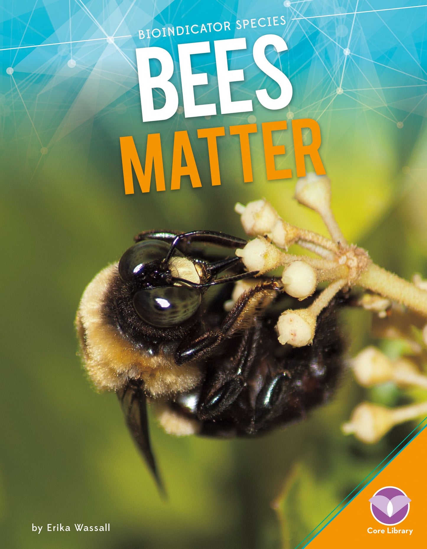 Bees Matter (PagePerfect NOOK Book)