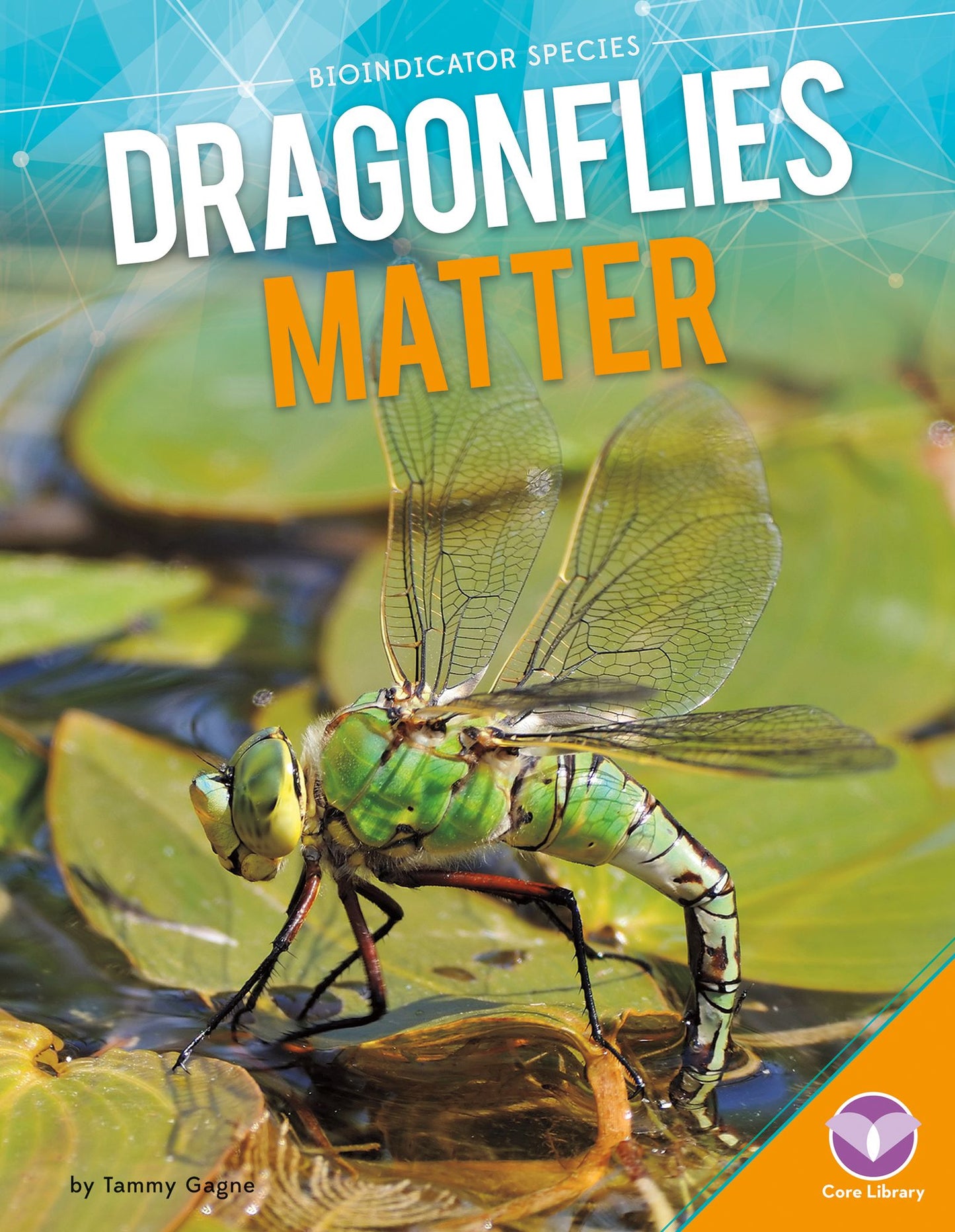 Dragonflies Matter (PagePerfect NOOK Book)