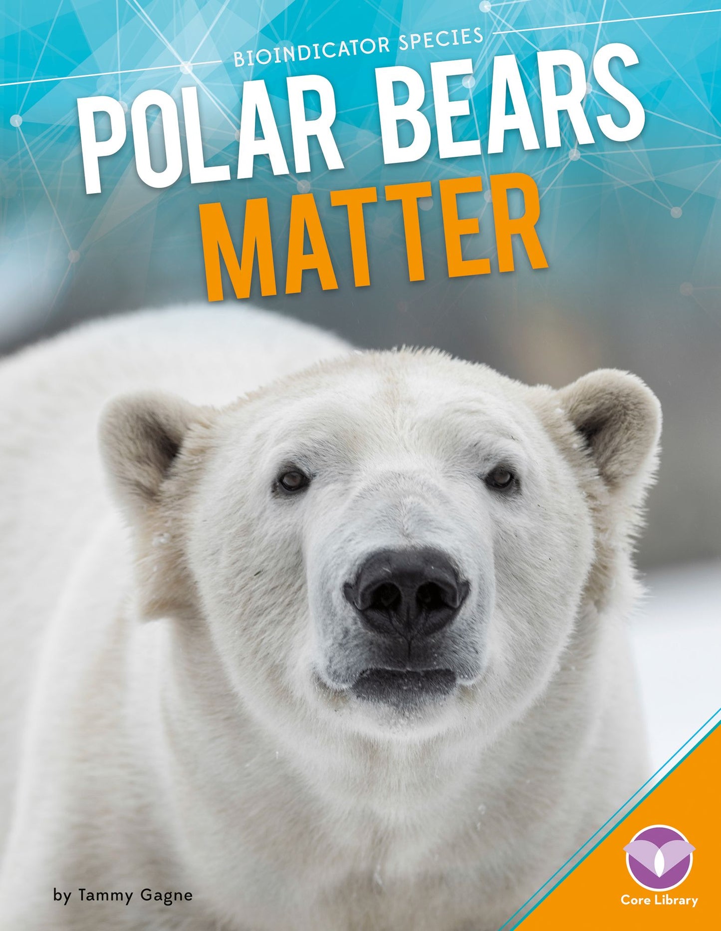 Polar Bears Matter (PagePerfect NOOK Book)