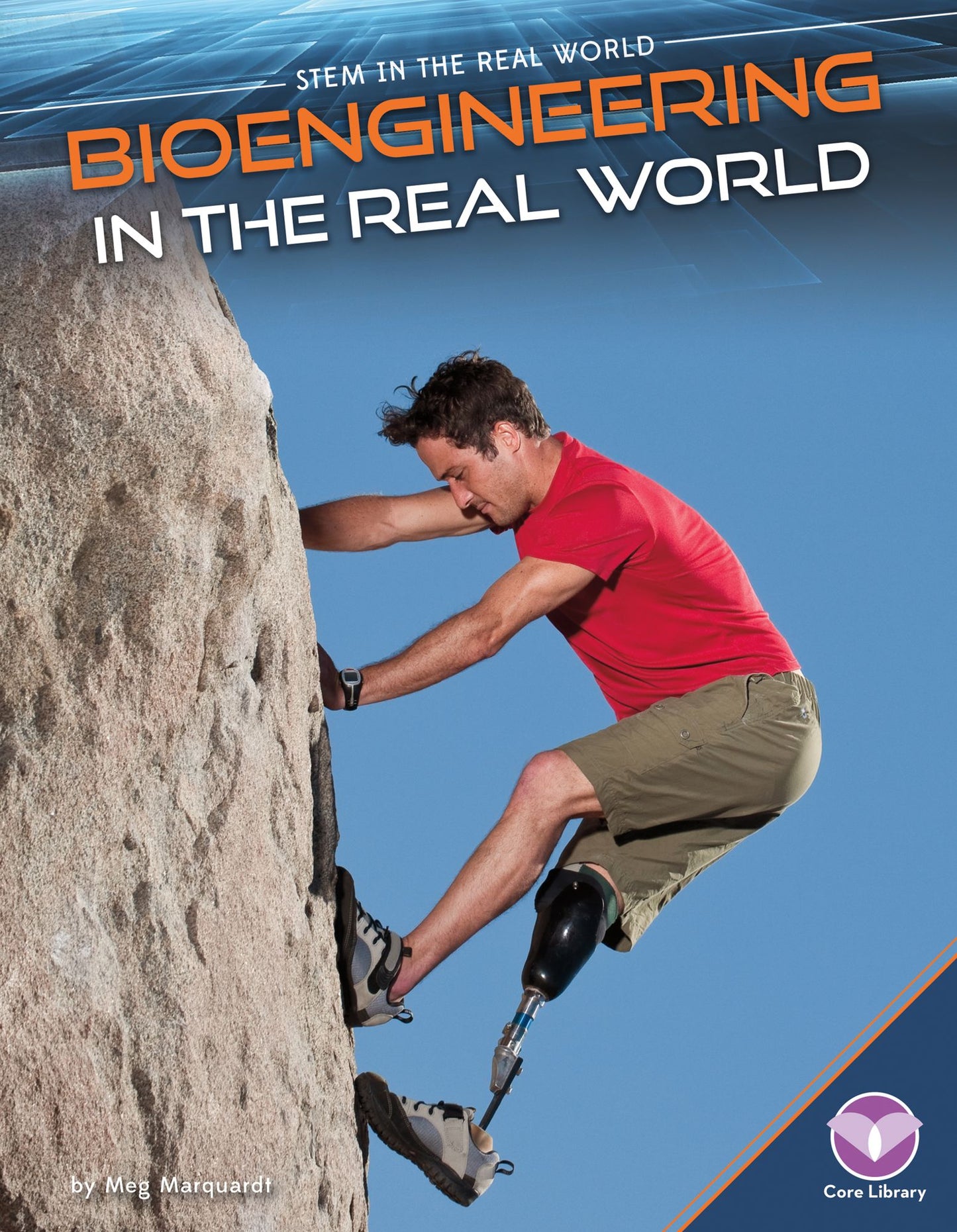 Bioengineering in the Real World (PagePerfect NOOK Book)