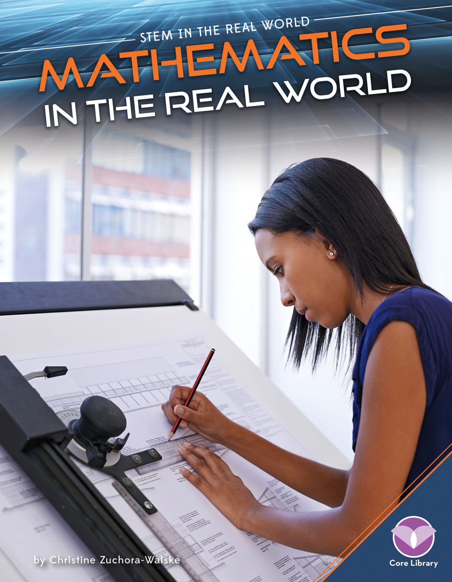 Mathematics in the Real World (PagePerfect NOOK Book)