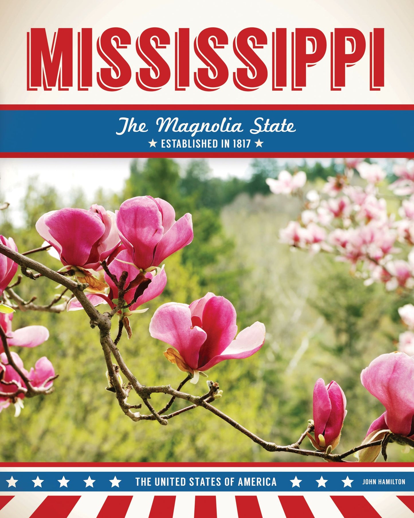Mississippi (PagePerfect NOOK Book)