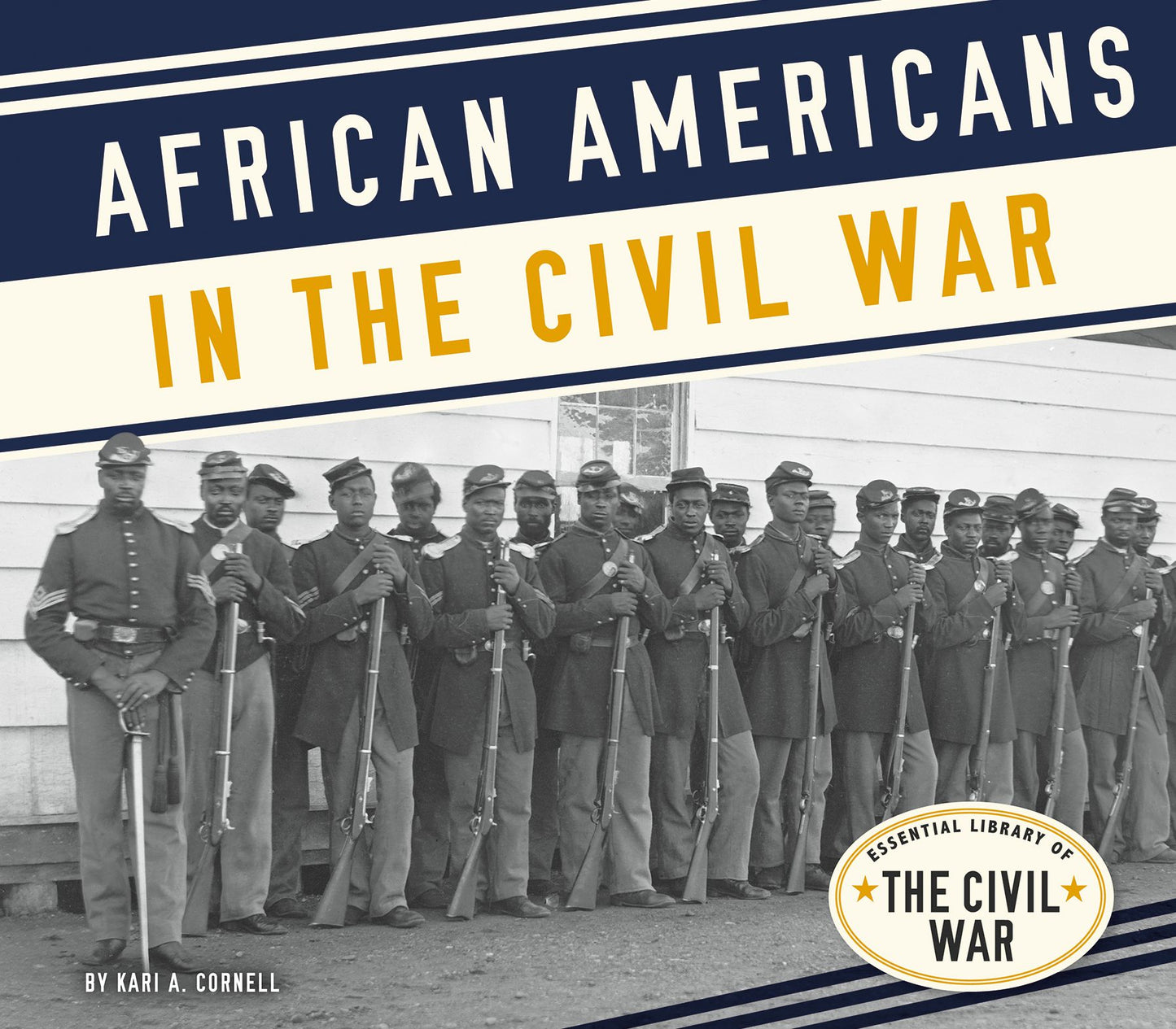 African Americans in the Civil War (PagePerfect NOOK Book)