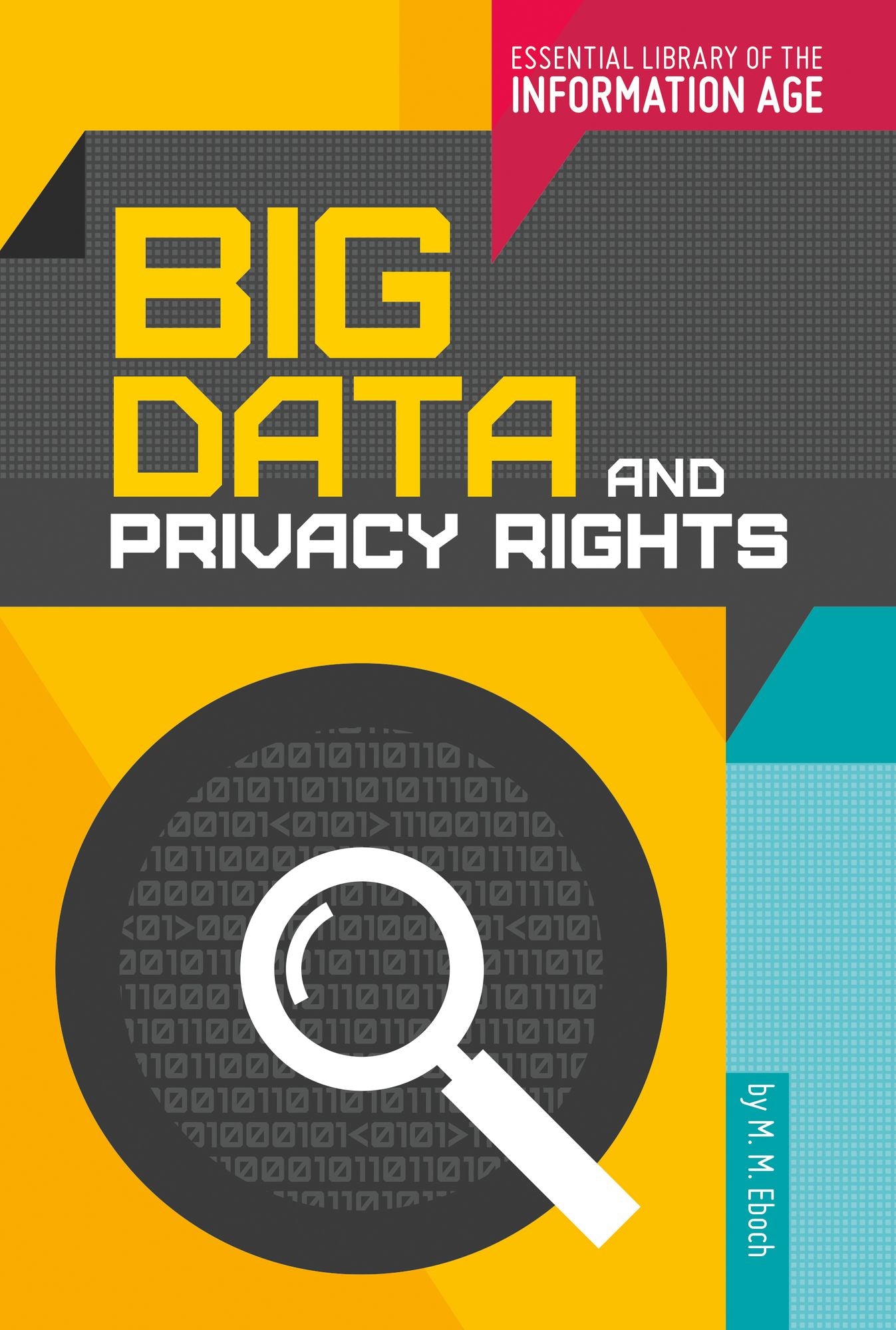 Big Data and Privacy Rights (PagePerfect NOOK Book)