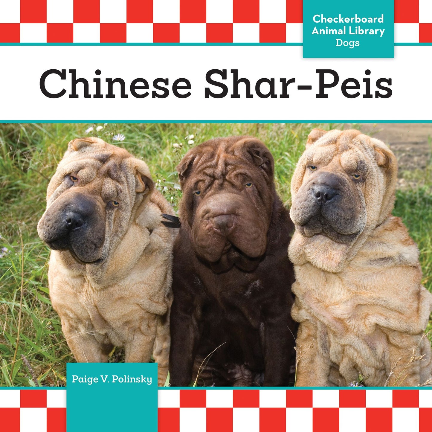 Chinese Shar-Peis (PagePerfect NOOK Book)