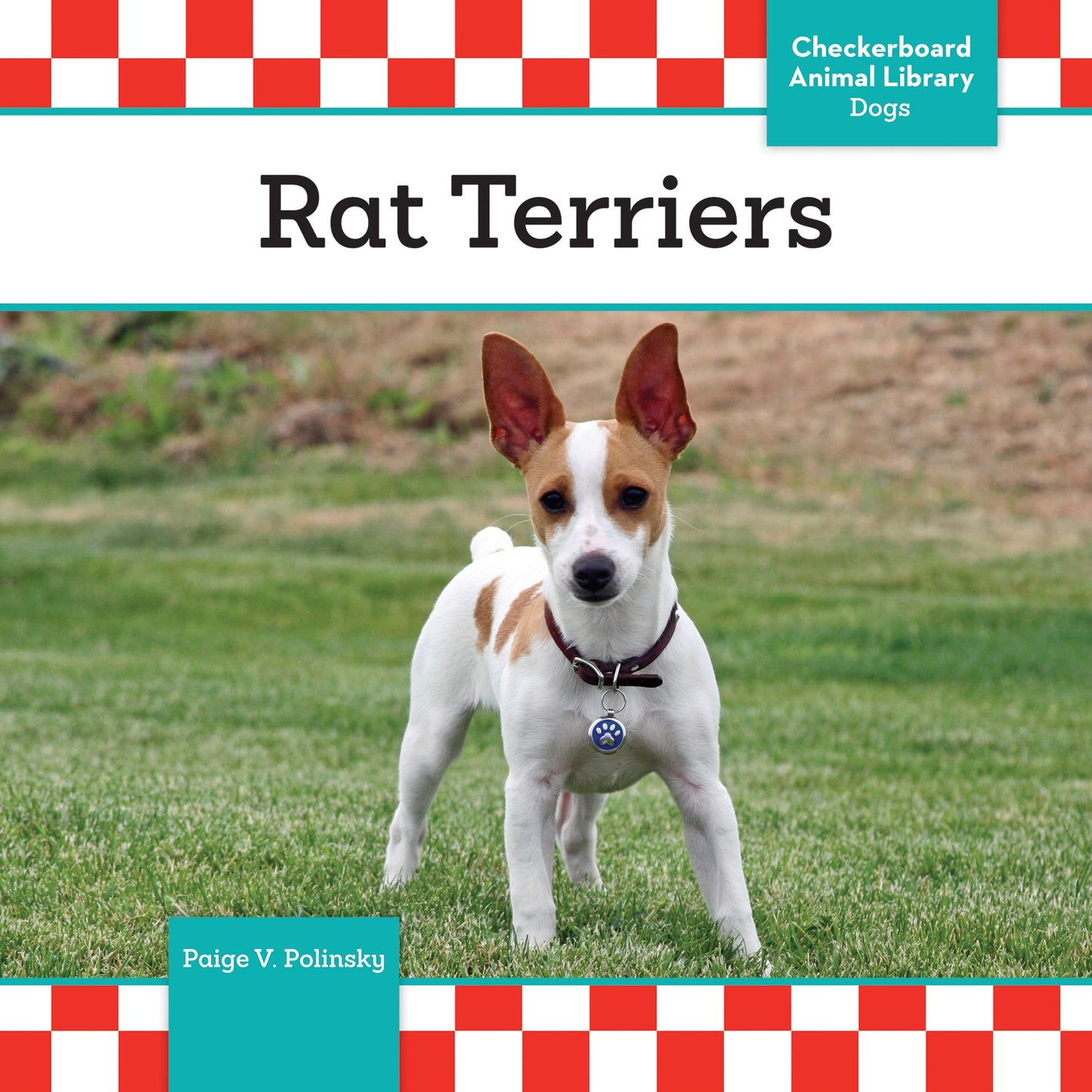Rat Terriers (PagePerfect NOOK Book)