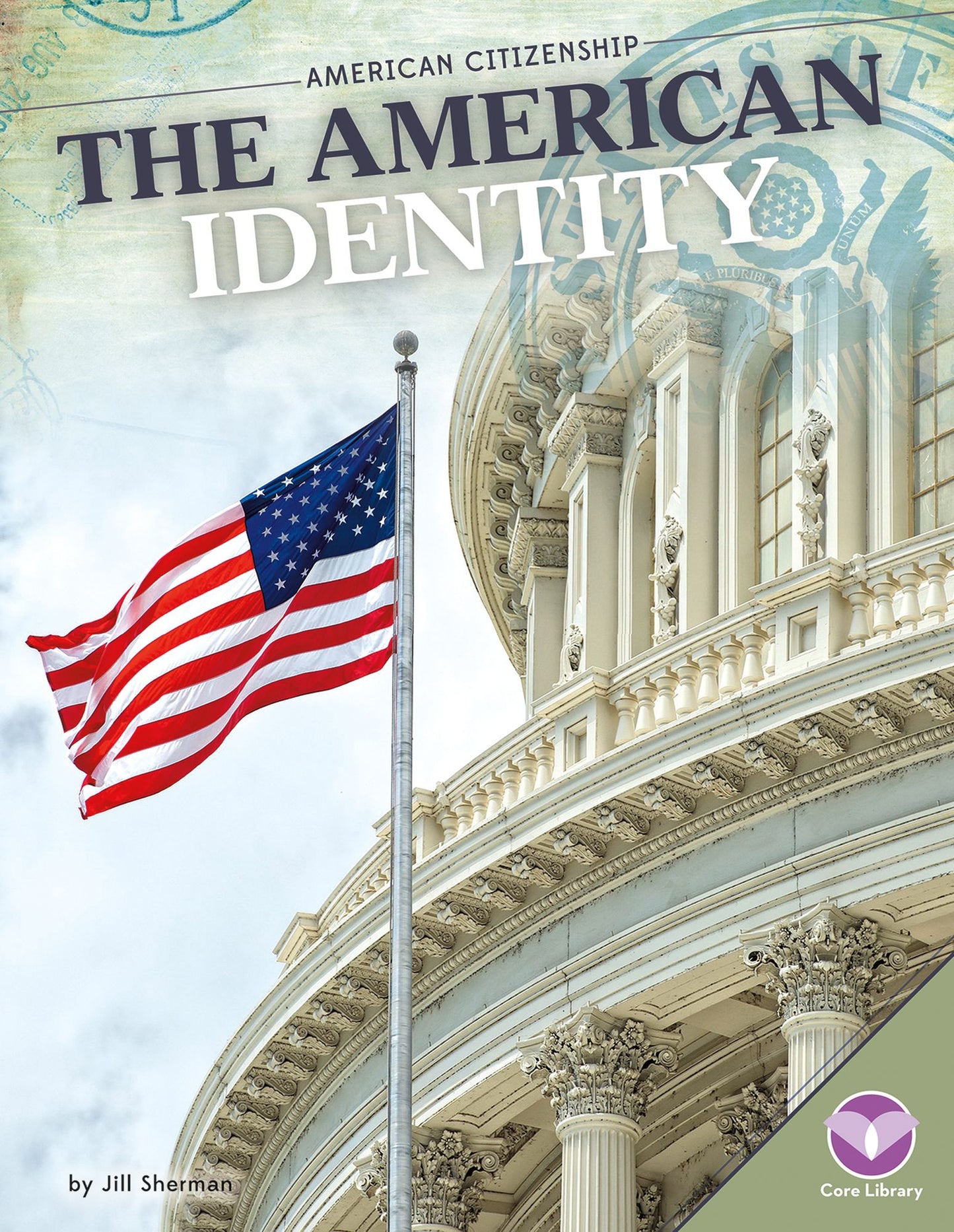 American Identity (PagePerfect NOOK Book)
