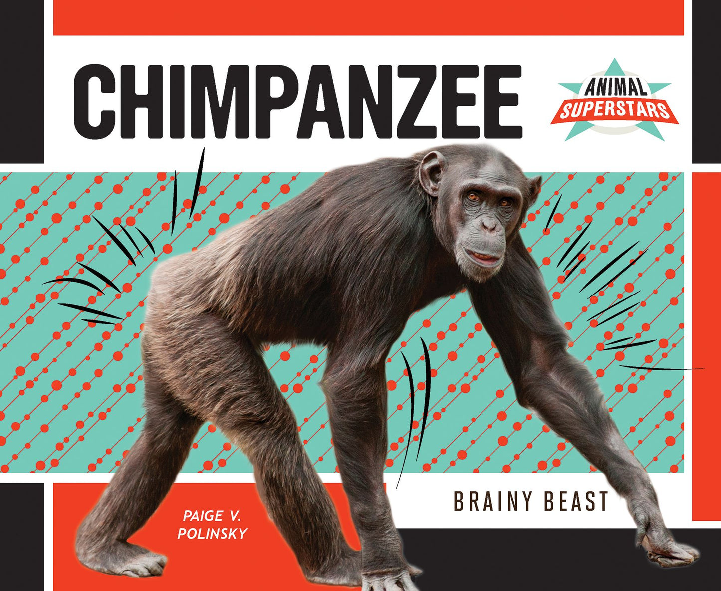 Chimpanzee : Brainy Beast