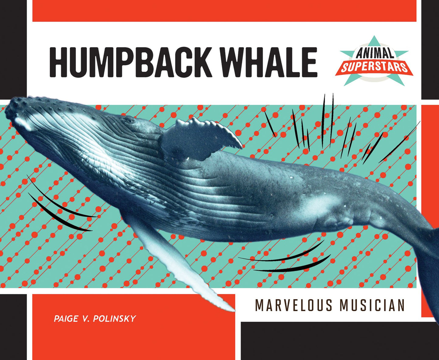 Humpback Whale : Marvelous Musician