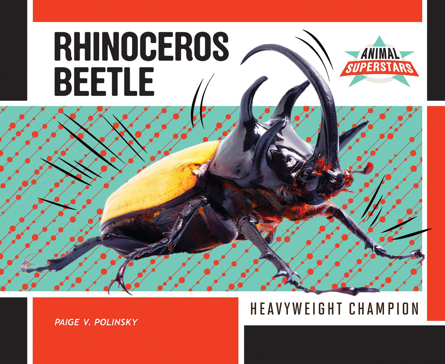 Rhinoceros Beetle : Heavyweight Champion