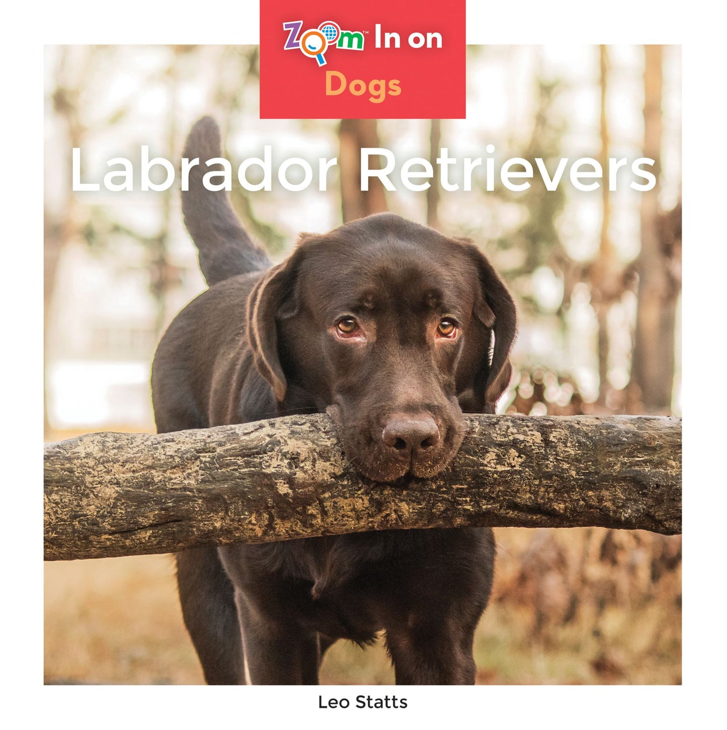 Labrador Retrievers