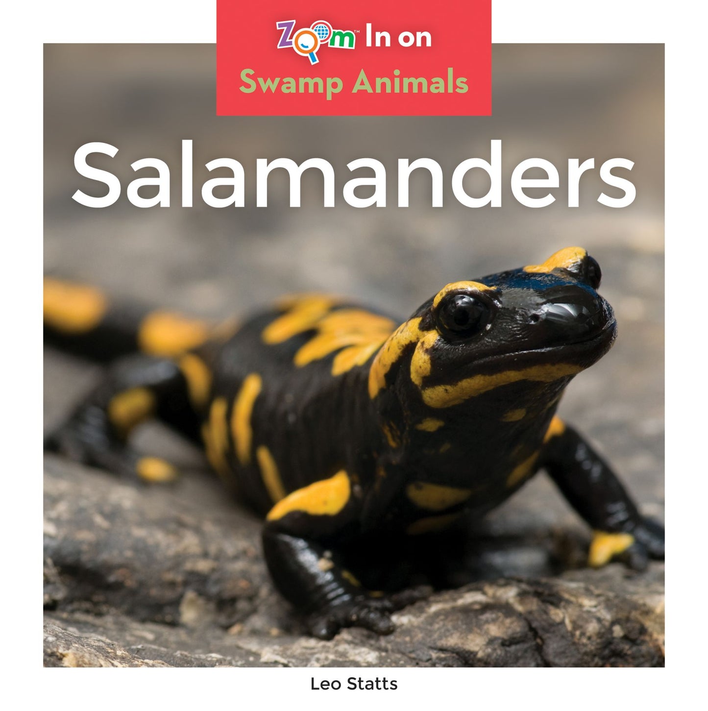 Salamanders