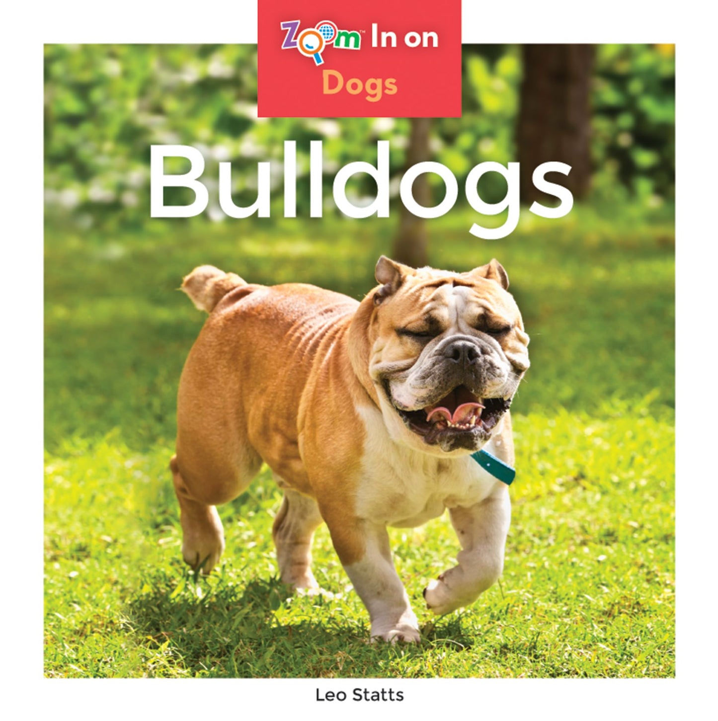 Bulldogs (PagePerfect NOOK Book)