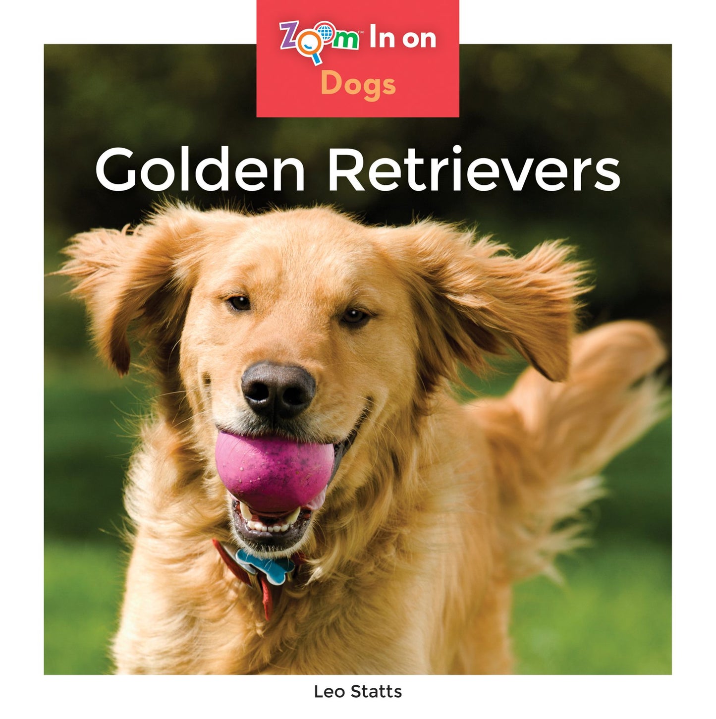 Golden Retrievers (PagePerfect NOOK Book)