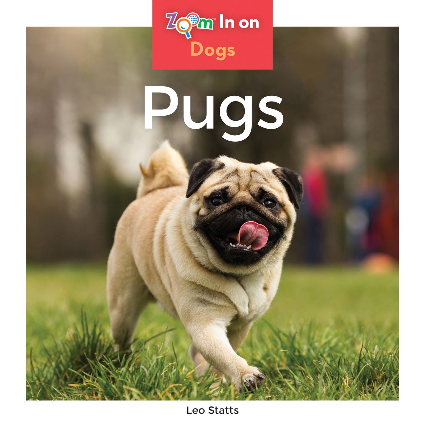 Pugs (PagePerfect NOOK Book)