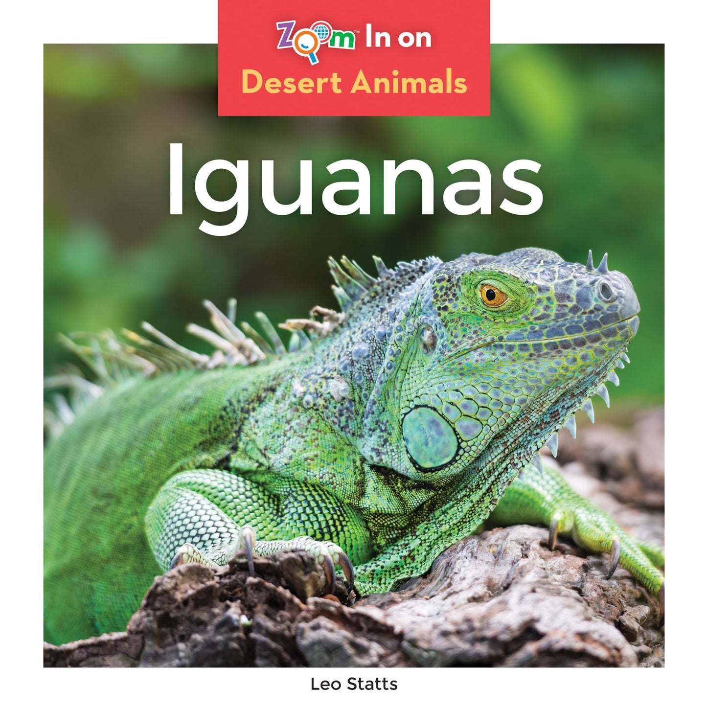 Iguanas (PagePerfect NOOK Book)