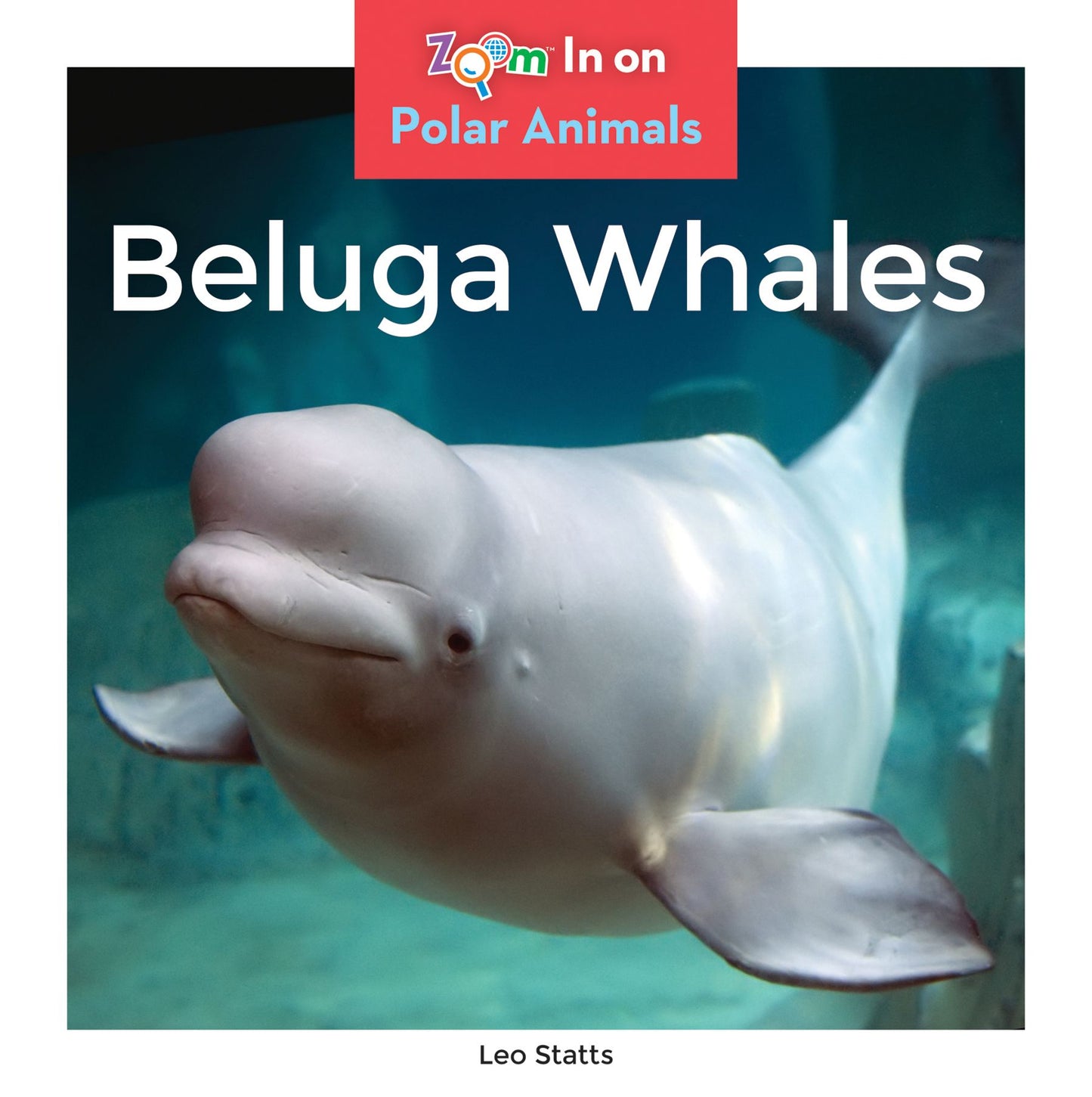 Beluga Whales (PagePerfect NOOK Book)