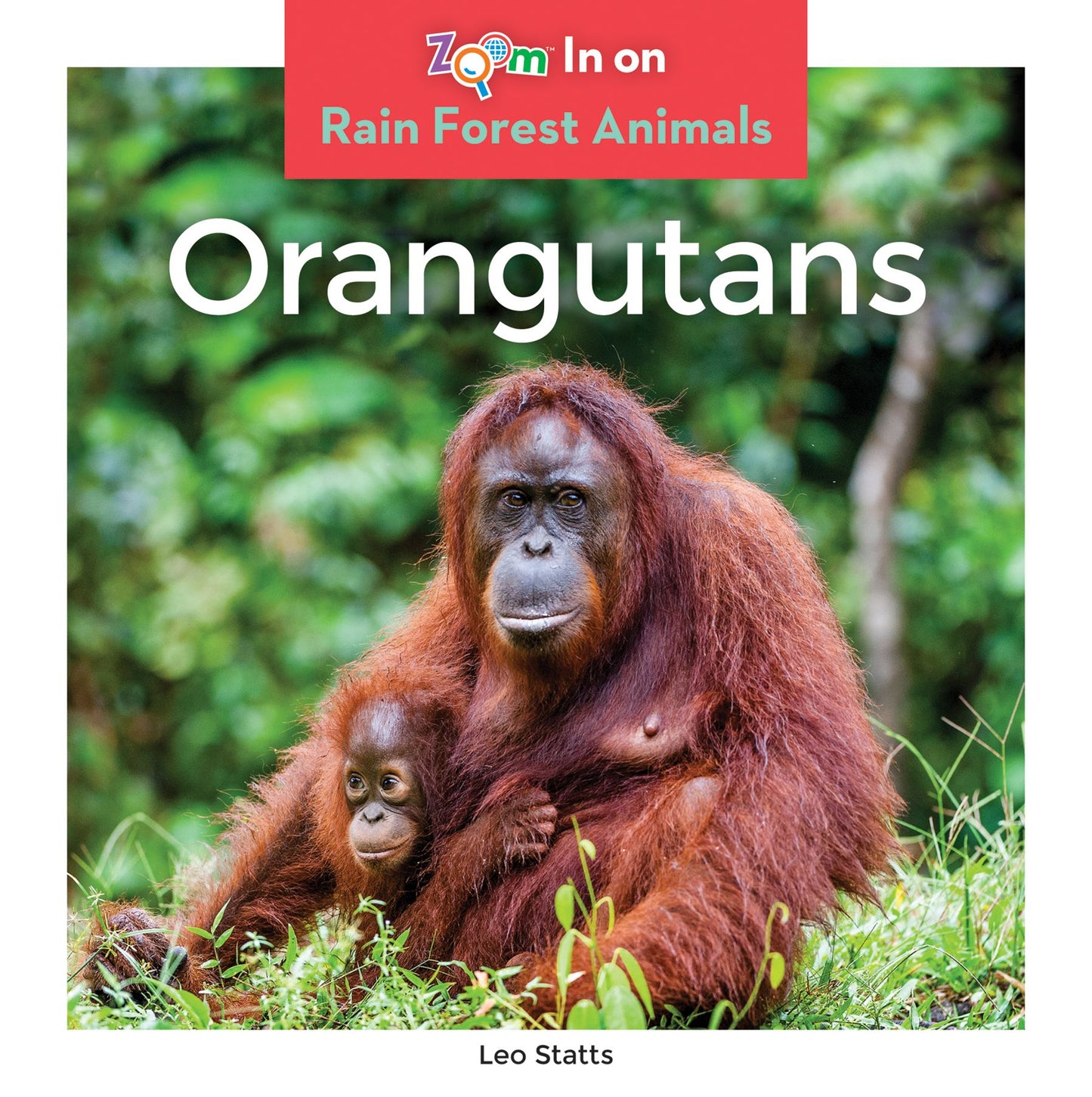 Orangutans (PagePerfect NOOK Book)