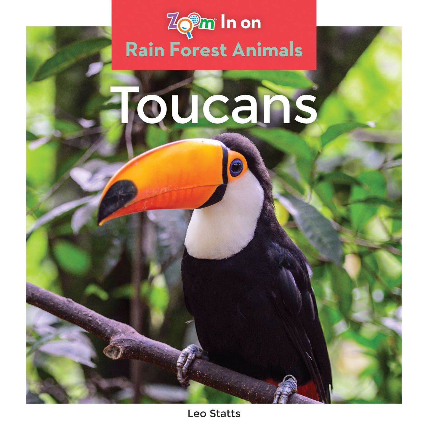 Toucans (PagePerfect NOOK Book)