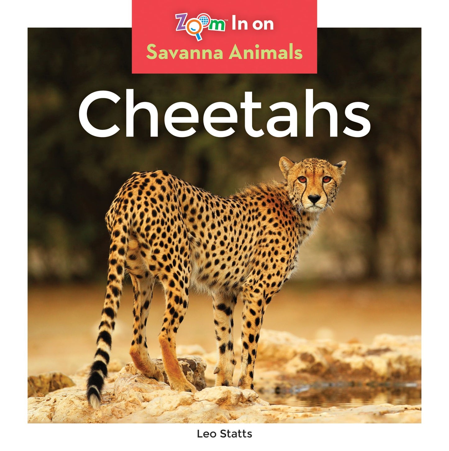 Cheetahs (PagePerfect NOOK Book)