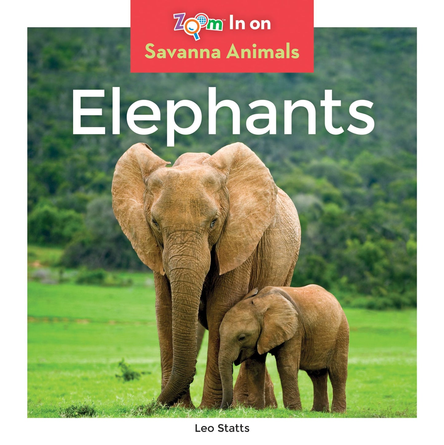 Elephants (PagePerfect NOOK Book)