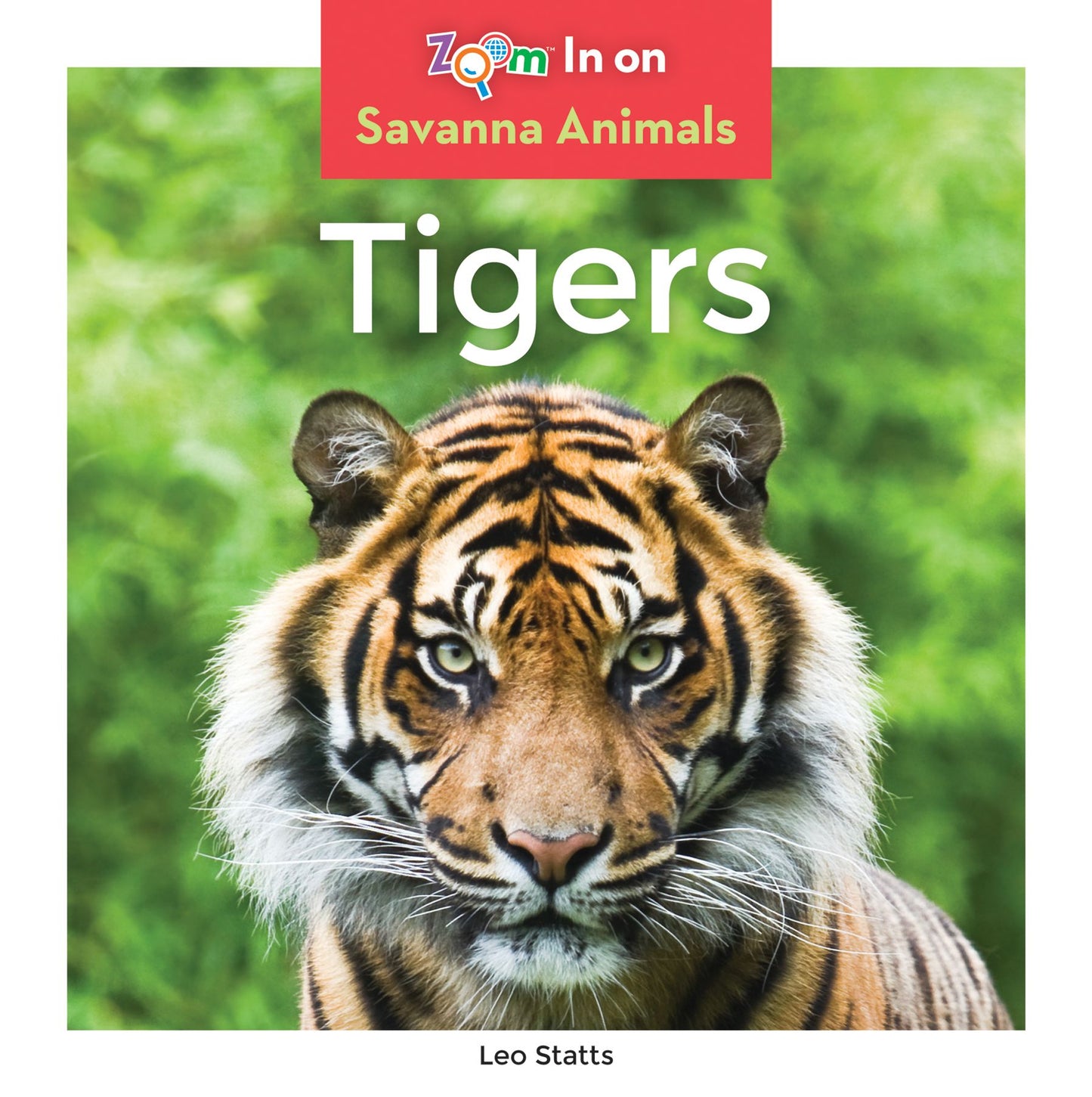 Tigers (PagePerfect NOOK Book)