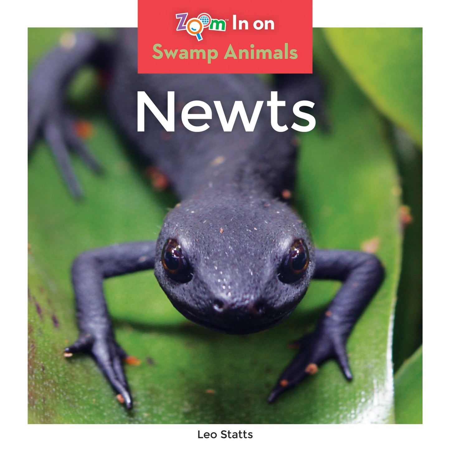 Newts (PagePerfect NOOK Book)